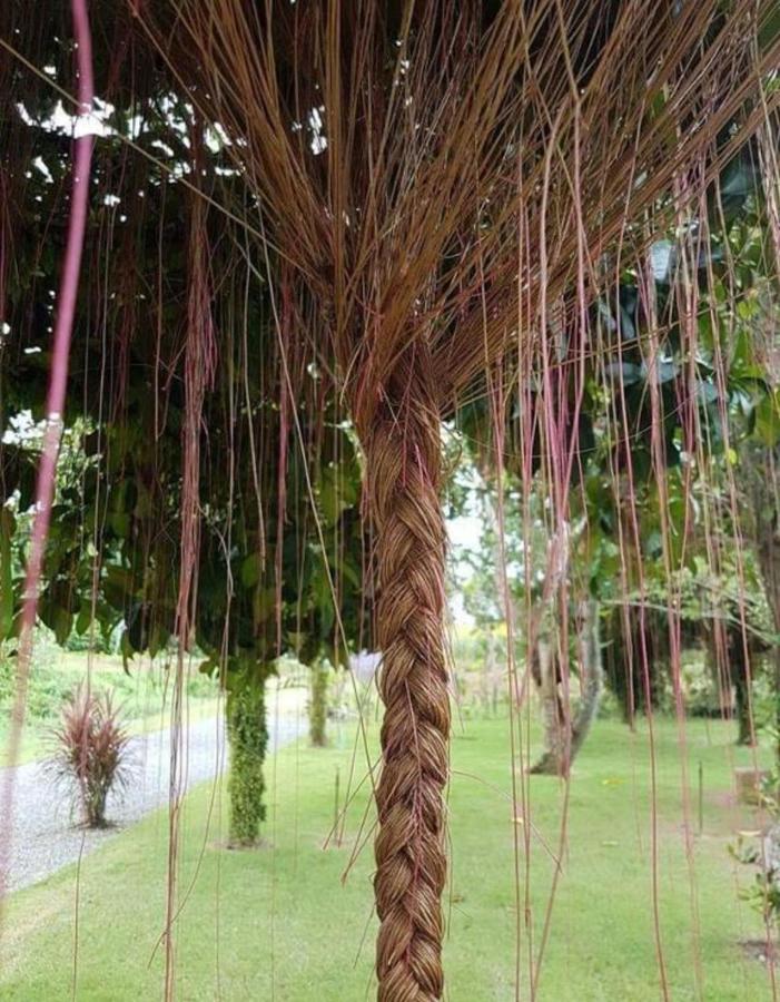Tho Mai Resort Wang Chan المظهر الخارجي الصورة